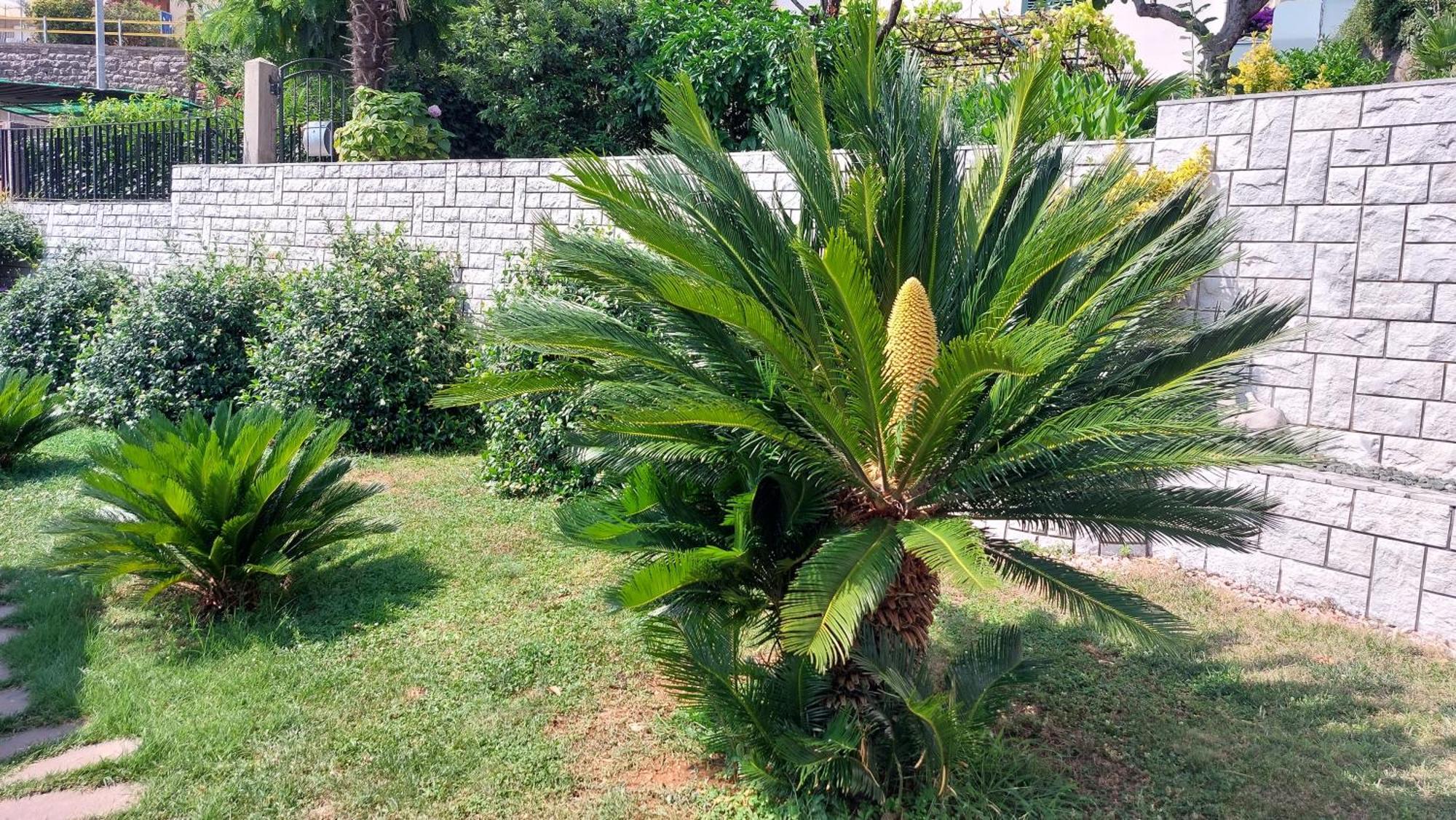 Opatija Centar Apartment ภายนอก รูปภาพ